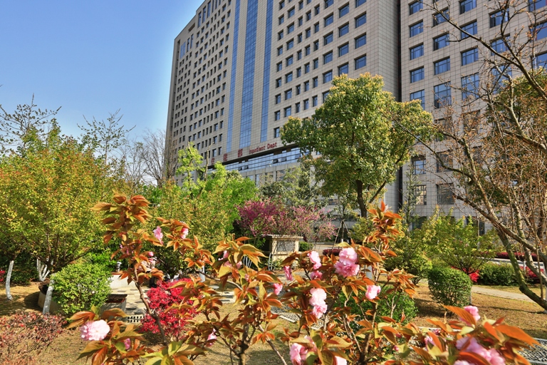 为你而歌